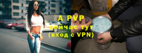 сатива Богородицк