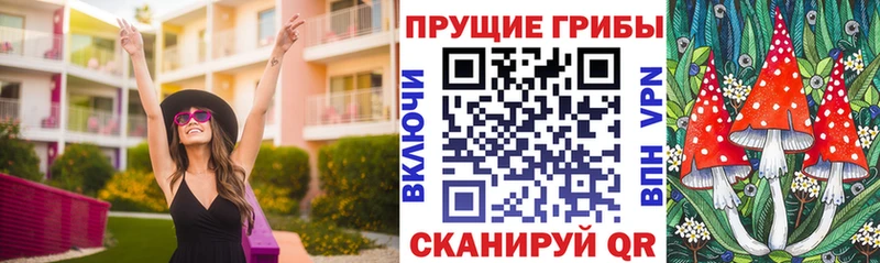 Галлюциногенные грибы Psilocybe  где найти   блэк спрут онион  Короча 